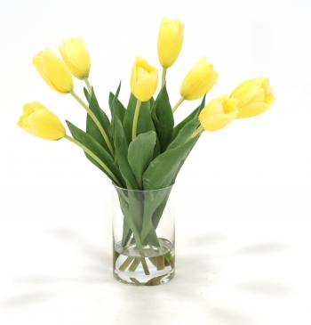 Distinctive Designs Waterlook Dutch Tulips in Glass Cylinder Vase ...