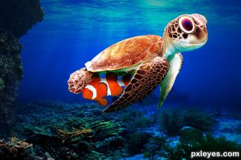 Swimming Turtle Photoshop Contest (21796), Pictures Page 1 - Pxleyes.com