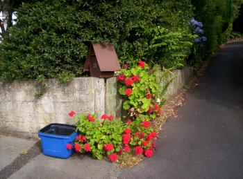 Tweed recycling Letterbox and Geraniums