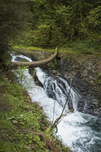 Twin Falls, Silver Creek Park Oregon