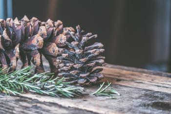 Two Brown Pine Cones on Brown Wooden Surface
