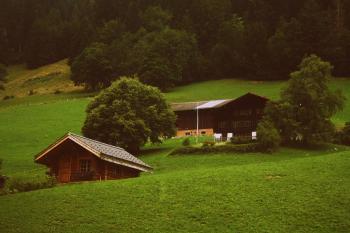 Two Brown Wooden Cabins in Green Grass Field