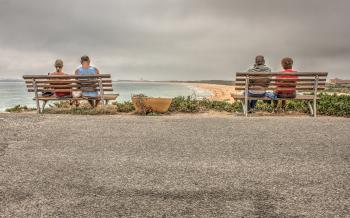 Two Couple Sitting on Bench Near Beach