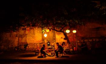Two People Sitting Underneath Green Tree during Night Time