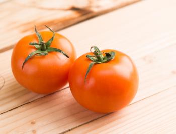Two Ripe Tomatoes