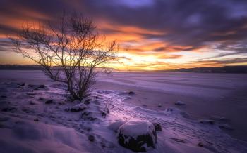 Picture Norway Lake Tyrifjorden Lake Tyri Buskerud Nature 2560x1600