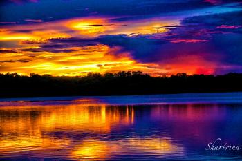 The Romance of Sunsets | Shartrina