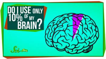 Do I Only Use 10% of My Brain? - YouTube