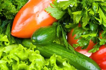 Vegetables close-up
