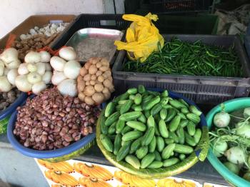 Bangalore Horticultural Fruits And Vegetables Stall Counter ...