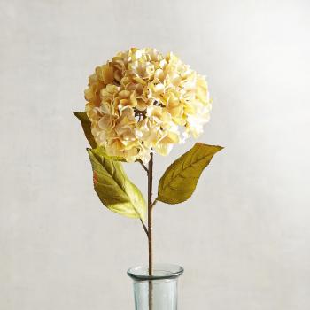 Ivory Velvet Hydrangea Stem | Hydrangea and Ivory
