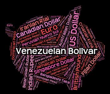 Venezuelan Bolivar Means Foreign Currency And Coinage
