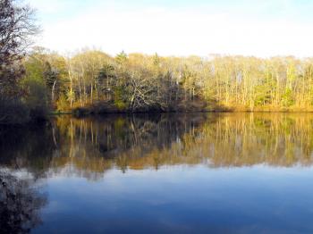 Very Calm Pond