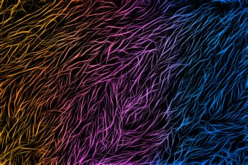 Vibrant Abstract Mesh Texture