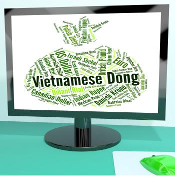 Vietnamese Dong Means Foreign Exchange And Banknotes
