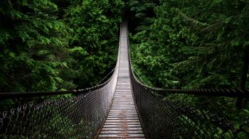 Nature: Vintage Bridge, picture nr. 61425