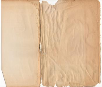 Vintage Paper Sleeve