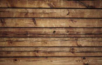 Odd, peculiar, interesting and unusual facts on wood and trees ...