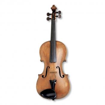 What Is A Violin? | Violin Facts For Kids | DK Find Out