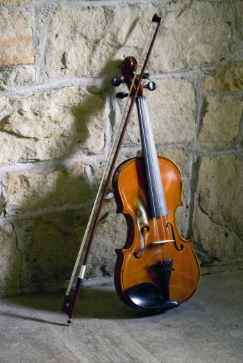 Violin & Bow String