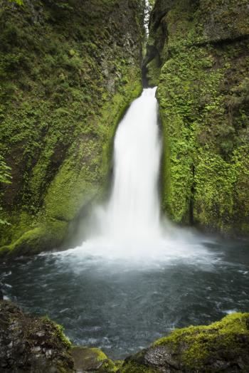 Wahclella Waterfall, Oregon