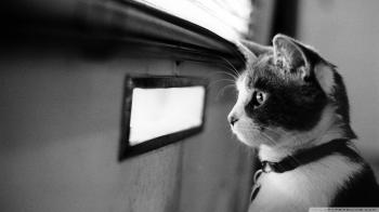 Are you waiting to live? - jennifer barbee