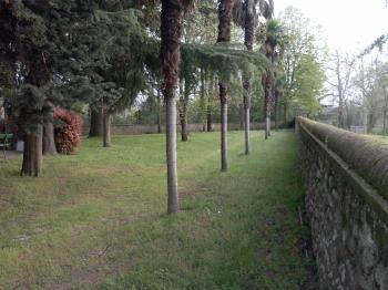 Wall and trees