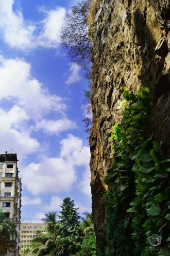 Man vs Nature | Landscapes | Pinterest | Man vs