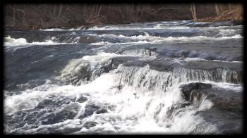 The Tranquility of a Refreshing River Stream Water Flow Current in ...