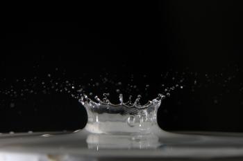 Water Drops | Martyn Currey