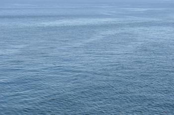 Day 3: Water, Water, Everywhere… | South Asian in the Diaspora ...