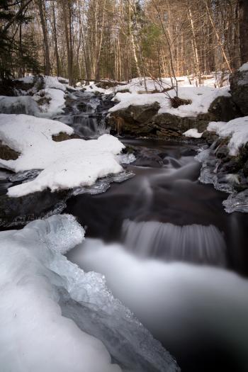 Water Flowing Through Snow Covered Forest
