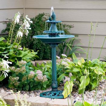 Alpine Bird Bath Fountain with Fish | Hayneedle