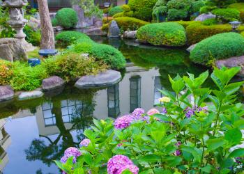 Water Garden Pond - DMA Homes | #51440
