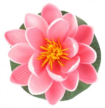 Small Floating Foam Water Lily Flowers, Assorted Cool Colors, A Set ...