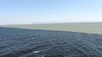 When the River Meets the Ocean (Fraser River water flows into the ...