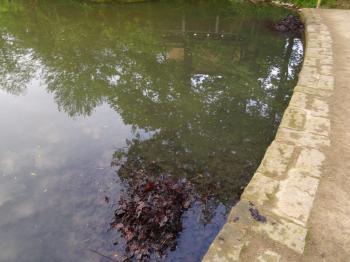 Water pollution by lazy park clerks