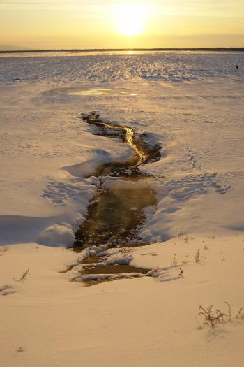 Water stream in the snow