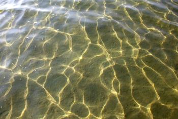 Water surface with reflections