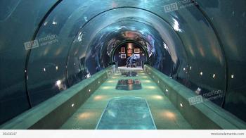 Under Water Tunnel At Aquarium With Fish And Plant Life Stock video ...