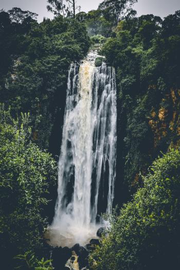Waterfall Between Trees