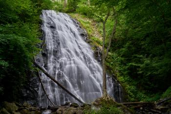 Waterfalls in Between Green Trees