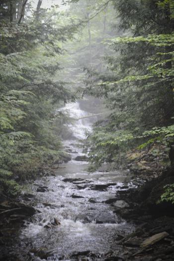 Waterfalls Ricketts Glen State Park