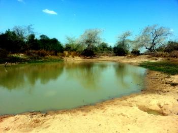 20151031_135156 | Nora In Mozambique