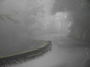 MY CYBER WORLD: UNSEEN WAYANAD - PART 1