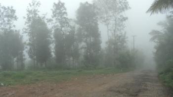 Waynad in Fog