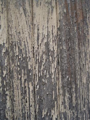Paint Flaking From Weathered Wood Free Stock Photo - Public Domain ...