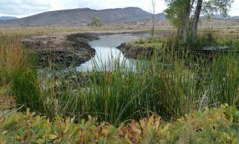 File:Beautiful landscape of the channel with water weeds.jpg ...