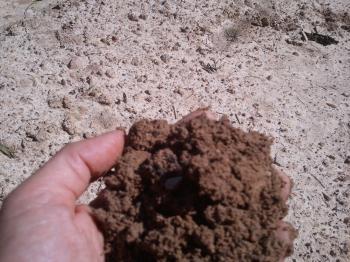Wet Soil « Practicing Resurrection