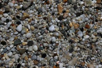 Wet stones on the beach